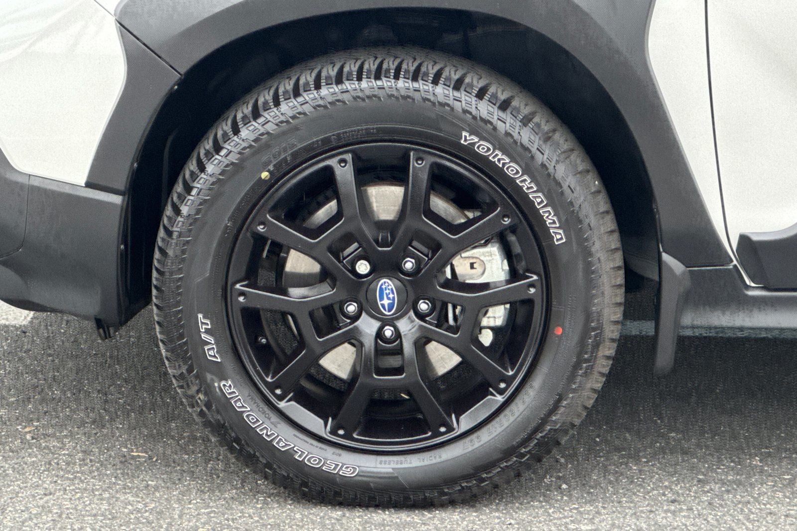 2025 Subaru Crosstrek Wilderness - Photo 29