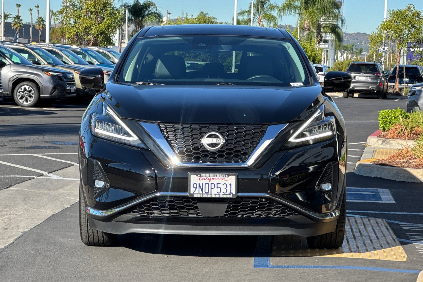 2024 Nissan Murano SL Intelligent AWD