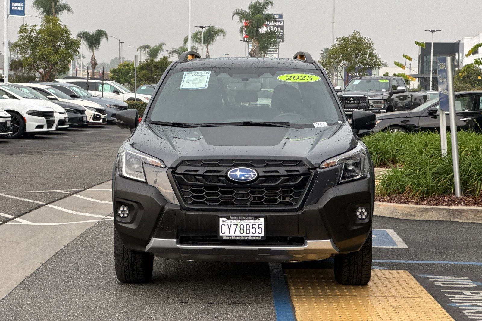 2025 Subaru Forester Wilderness