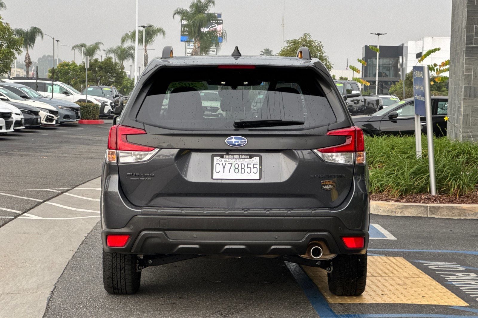 2025 Subaru Forester Wilderness