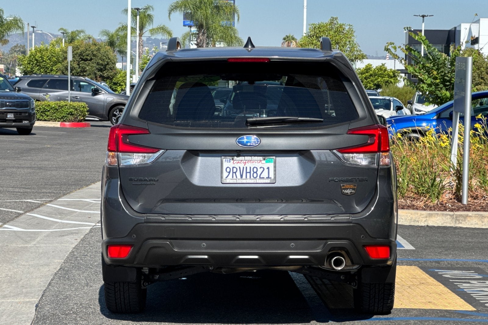 2024 Subaru Forester Wilderness