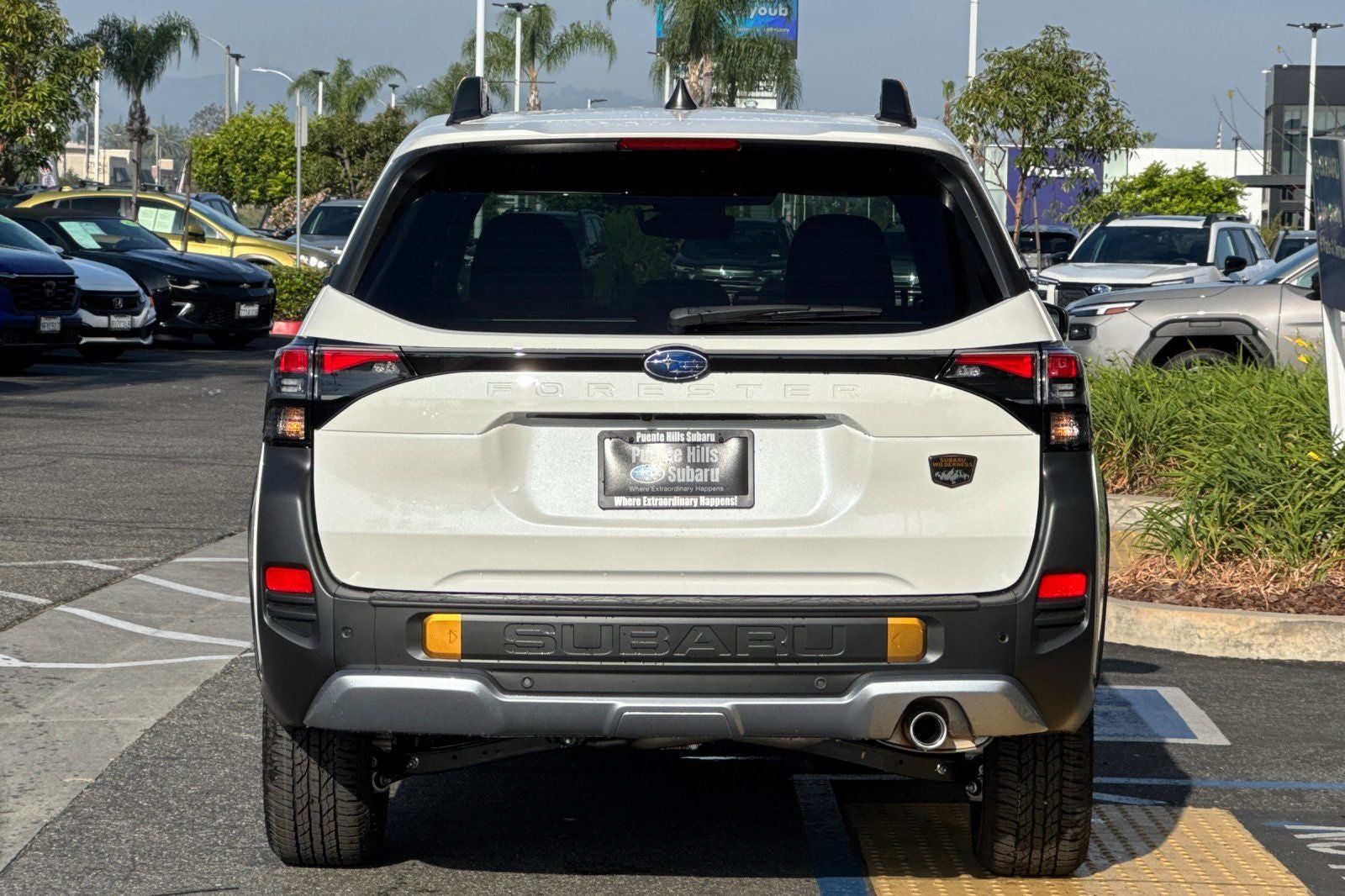 2026 Subaru Forester Wilderness