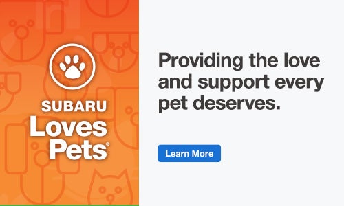 Subaru of Las Vegas hosts free microchip clinic for cats and dogs