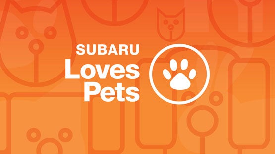 Puente Hills Subaru in City of Industry CA