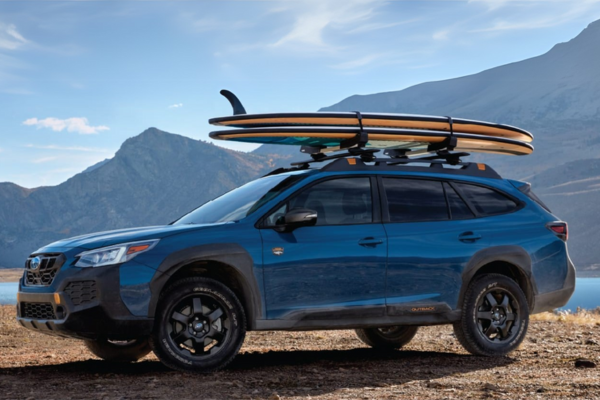 Wild Card Savings up to $100 OFF